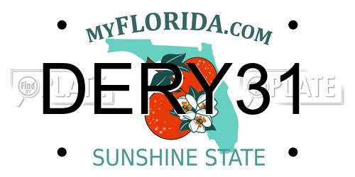 DERY31 Florida License Plate