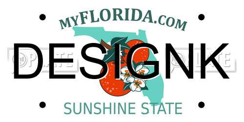DESIGNK Florida License Plate