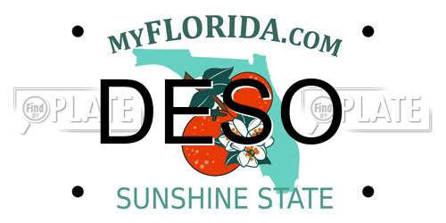 DESO Florida License Plate
