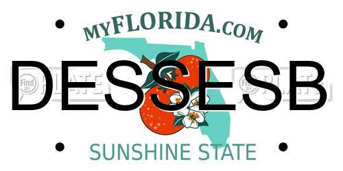 DESSESB Florida License Plate