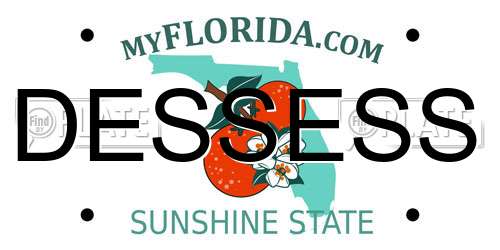 DESSESS Florida License Plate