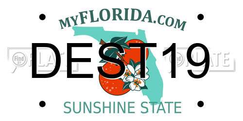 DEST19 Florida License Plate