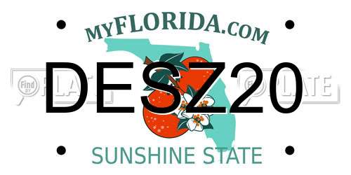 DESZ20 Florida License Plate