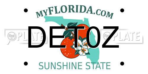 DET0Z Florida License Plate