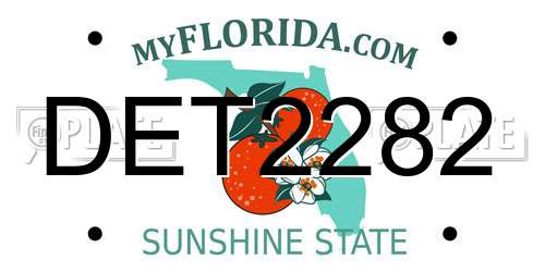 DET2282 Florida License Plate