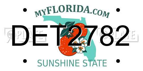 DET2782 Florida License Plate