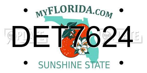 DET7624 Florida License Plate