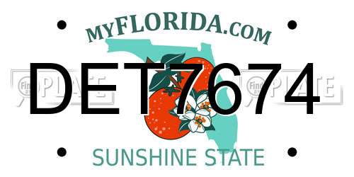 DET7674 Florida License Plate