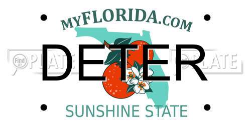 DETER Florida License Plate