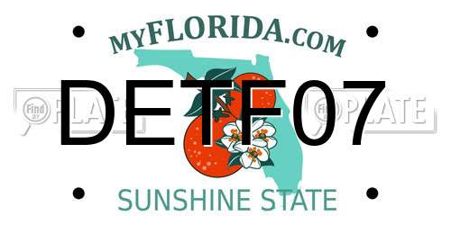 DETF07 Florida License Plate