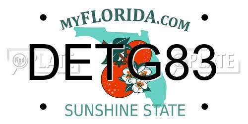 DETG83 Florida License Plate
