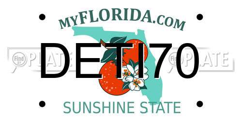 DETI70 Florida License Plate