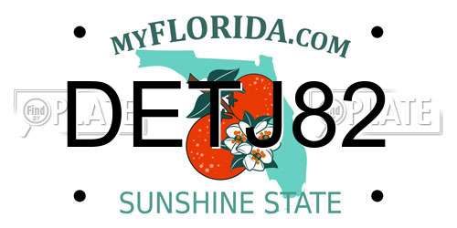DETJ82 Florida License Plate