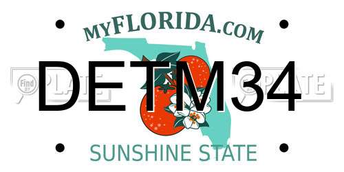 DETM34 Florida License Plate