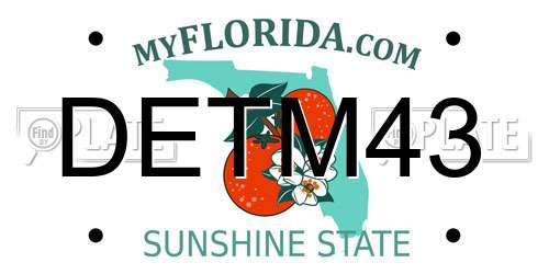 DETM43 Florida License Plate