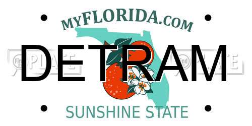 DETRAM Florida License Plate