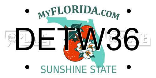DETW36 Florida License Plate