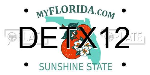 DETX12 Florida License Plate