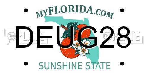 DEUG28 Florida License Plate