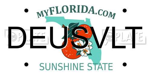 DEUSVLT Florida License Plate