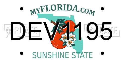 DEV1195 Florida License Plate