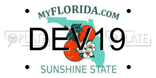 DEV19 Florida License Plate