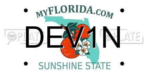 DEV1N Florida License Plate