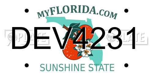 DEV4231 Florida License Plate
