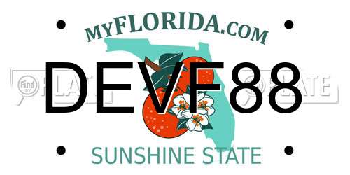 DEVF88 Florida License Plate