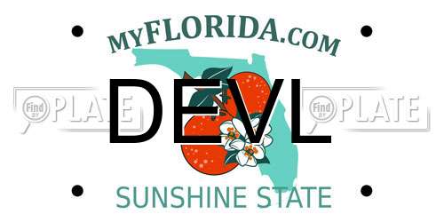 DEVL Florida License Plate