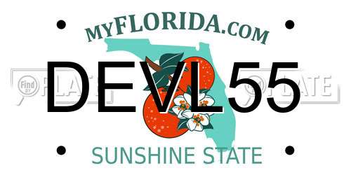 DEVL55 Florida License Plate