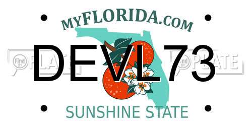 DEVL73 Florida License Plate