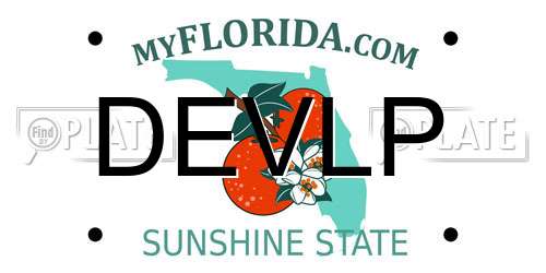 DEVLP Florida License Plate