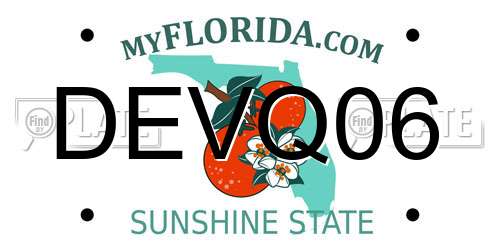 DEVQ06 Florida License Plate