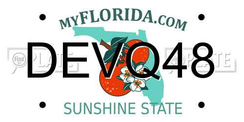 DEVQ48 Florida License Plate