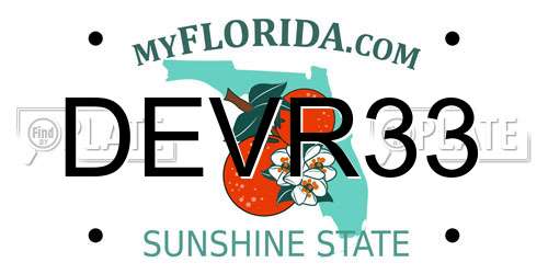 DEVR33 Florida License Plate