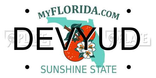 DEVYUD Florida License Plate