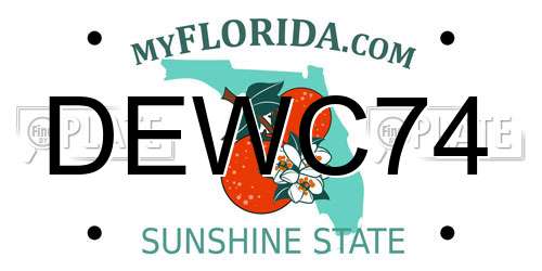DEWC74 Florida License Plate