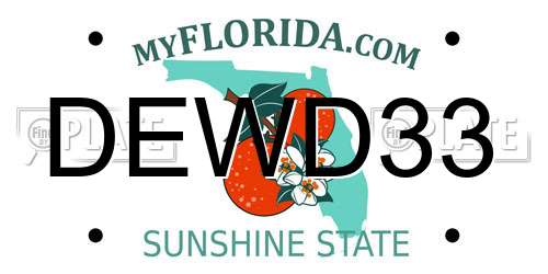 DEWD33 Florida License Plate