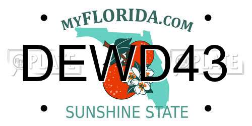 DEWD43 Florida License Plate