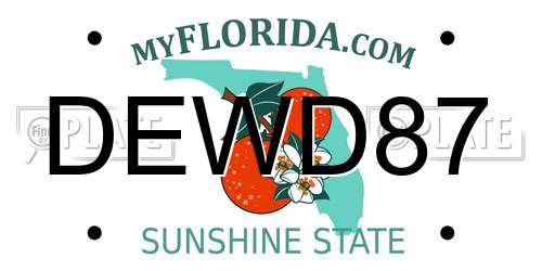 DEWD87 Florida License Plate