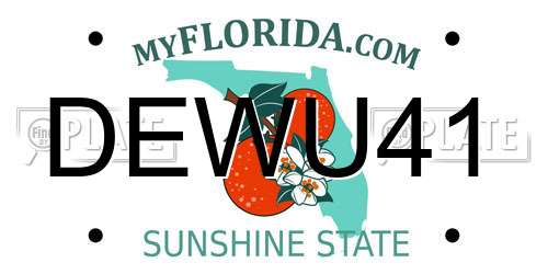 DEWU41 Florida License Plate