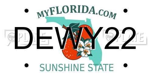 DEWY22 Florida License Plate