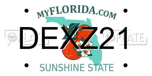 DEXZ21 Florida License Plate