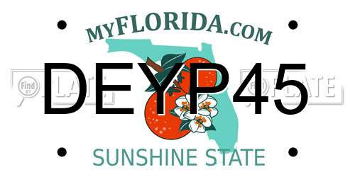 DEYP45 Florida License Plate