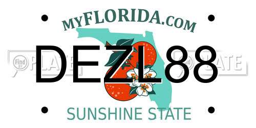 DEZL88 Florida License Plate