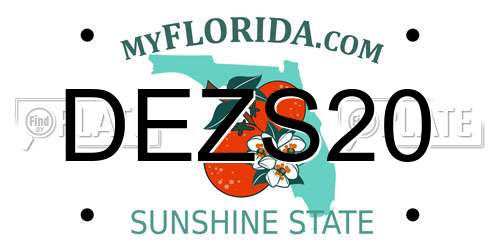 DEZS20 Florida License Plate