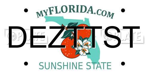 DEZTTST Florida License Plate