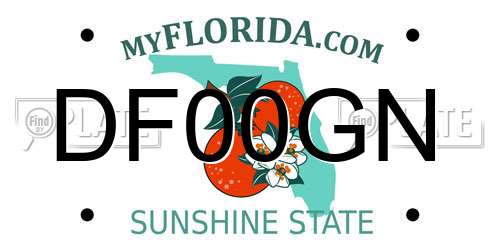 DF00GN Florida License Plate