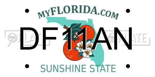 DF11AN Florida License Plate